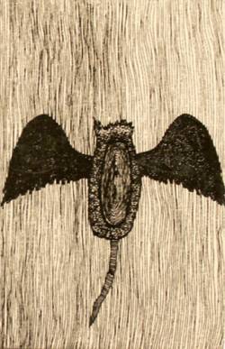 Rat Storm : Chaotic Neutral - Rat Storm